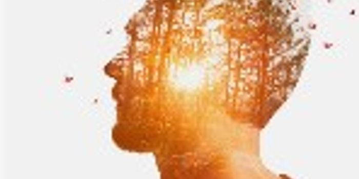 Can You Hallucinate from Cannabis Consumption?