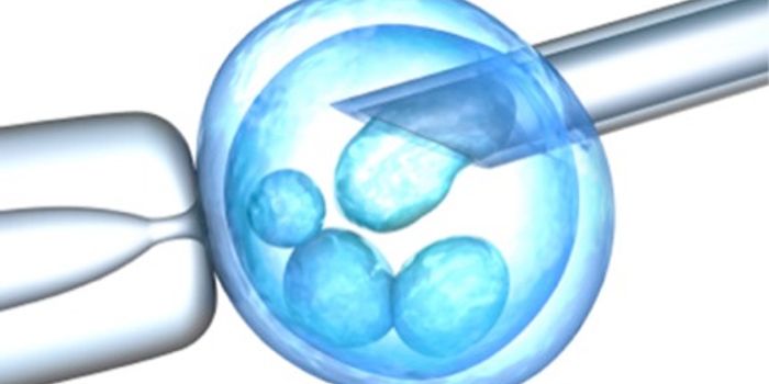 Technique to Make a Baby With Three Parents Deemed Safe