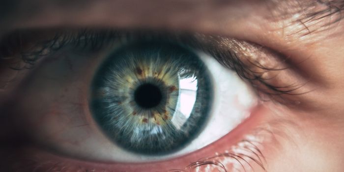 Bioengineered Cornea Helps Restore Sight for the Visually Impaired