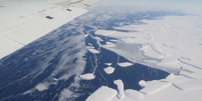 Is Larsen C's calving a sign of climate change?