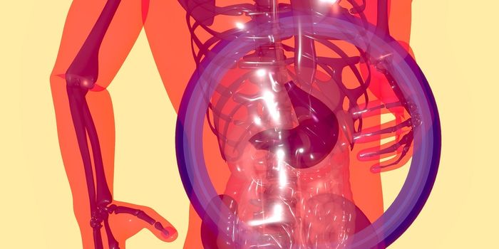 Bacteria Boost Chemotherapy Effectiveness