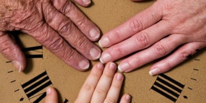 Reversing Symptoms of Aging in Mice Inspires Anti-Aging Drugs