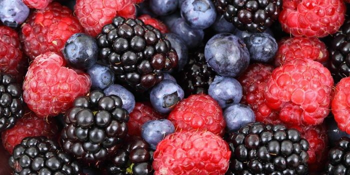 Berry Compound Reverses Parkinson's in Mice
