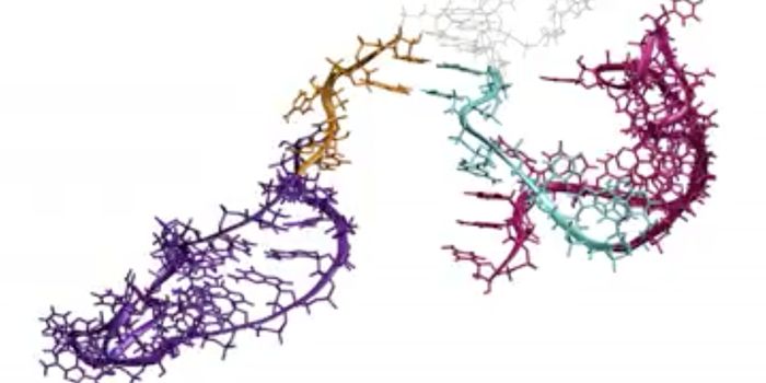 Watching RNA Folding As Its Being Made