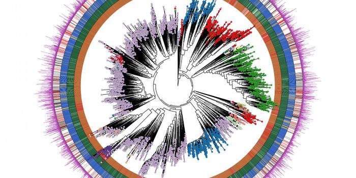 Exploring and Cataloging the Diverse Human Microbiome