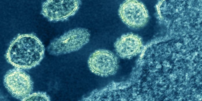 Seasonal Flu Vaccine Immunity Probably Wears Off