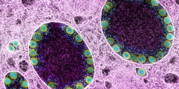 LIBRA-Seq ID's a Potent Antibody to Fight COVID-19