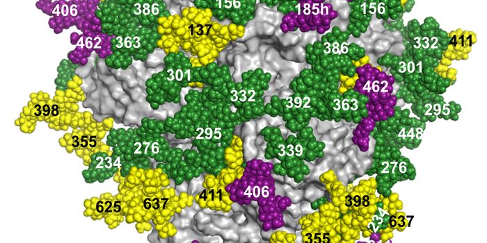 TSRI Researchers Develop New Method to 'Fingerprint' HIV