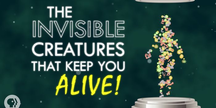 Your Long-Term Relationship with Microbes