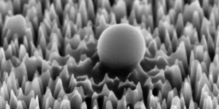 Nanospikes: A Novel Approach to Virus-Killing Surfaces