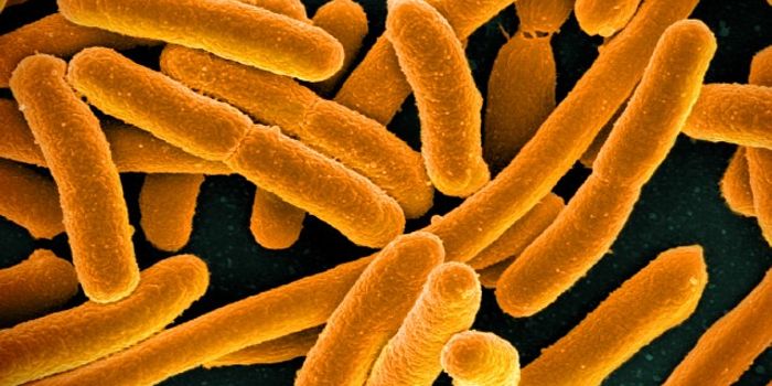 Drug Resistance Genes Easily Move Among Organisms & the Environment