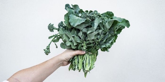 75g Kale Per Day Could Keep Bone Fractures Away
