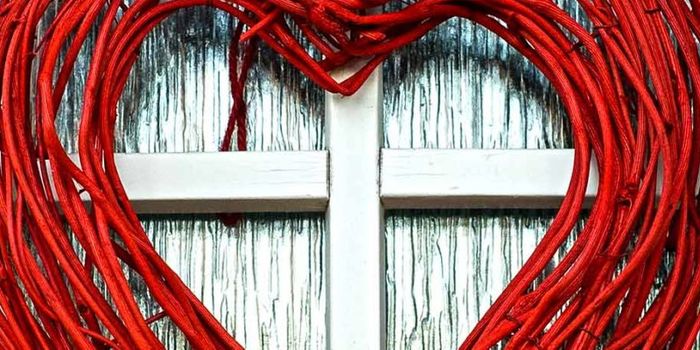 Bile acid might prevent deadly heart ‘scars'