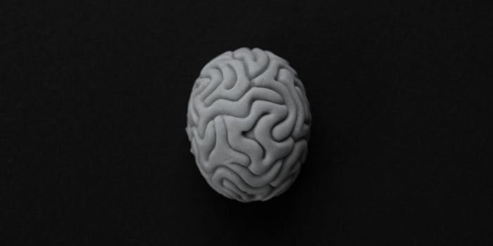 Light Alcohol Consumption Reduces Brain Volume