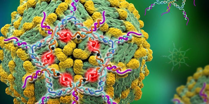 A DNA Star That Can Detect Dengue Virus