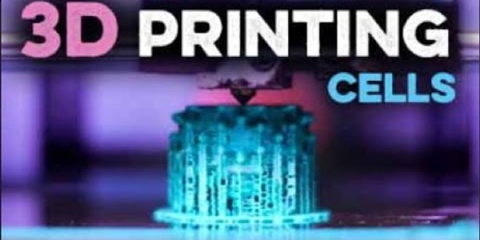 3D printing cells - Making biology accessible to the blind and partially sighted