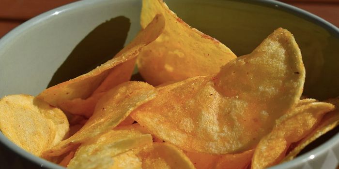 Several New Studies Broaden Our Understanding of Metabolism & Obesity