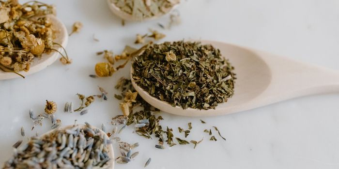 Could Green Tea Offer Anti-Aging Benefits?