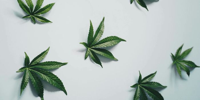 Evidence Lacking for Cannabis to Treat Most Conditions