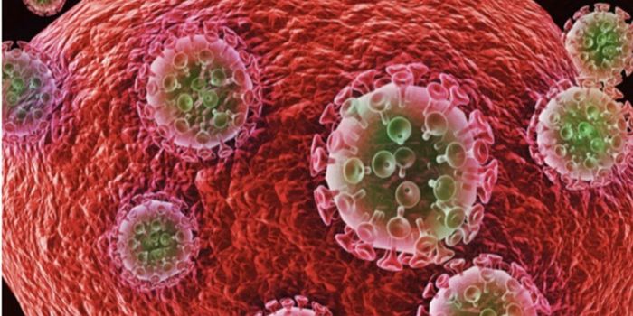 Algorithm Predicts Response to HIV Immunotherapy