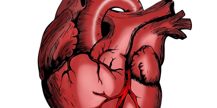 Adult ADHD Could Lead to Increased Chances of Cardiovascular Diseases