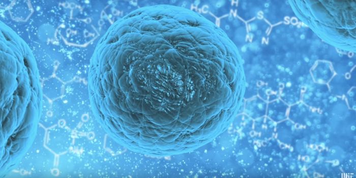 Tracking Single Cells as They Build an Adult Organism