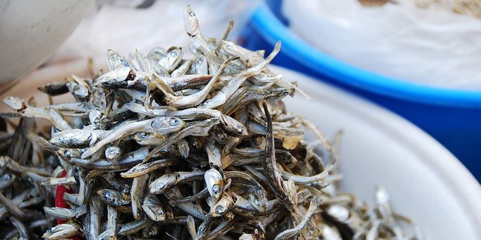 How breathable are our changing oceans?