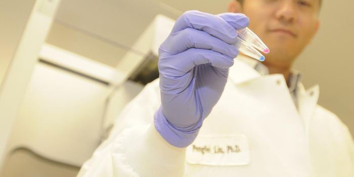 Copy Number Variation may be More Common Than we Thought