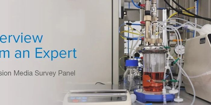 Perfusion Media Survey Panel: Overview From an Expert