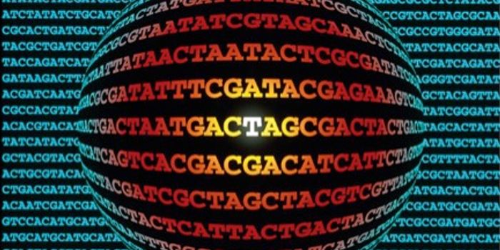 Precision Medicine for Brain Tumors