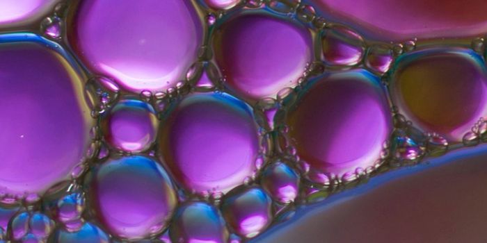 A Cysteine-Rich Diet is Shown to Boost Intestinal Regeneration