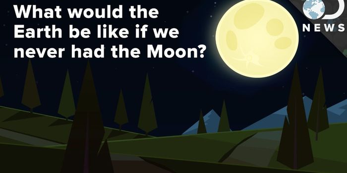 The Earth Would Be a Different Place if We Didn't Have the Moon