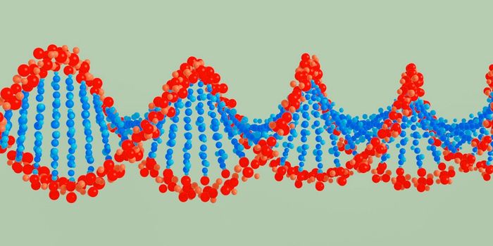 Genetic Markers Can Differentiate Between ADHD & Autism