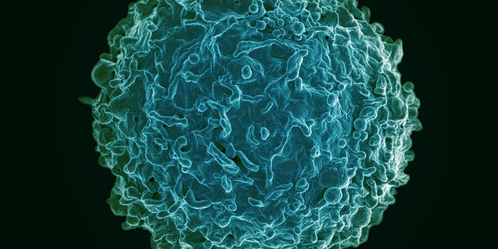 New Synthetic Organ Streamlines Vaccine Testing