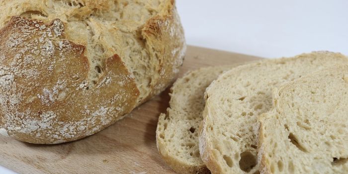 Investigating the Microbial Life of Sourdough, International Bread of Mystery