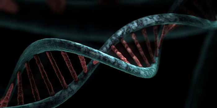 Novel Gene Therapy Treats T Cell Leukemia