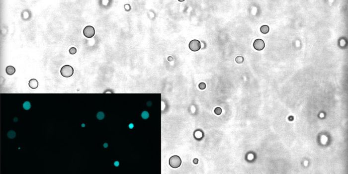 Insight Into the Earliest Stages of Life on Earth