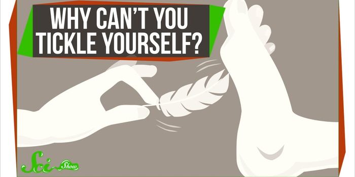 Why You Can't Tickle Yourself