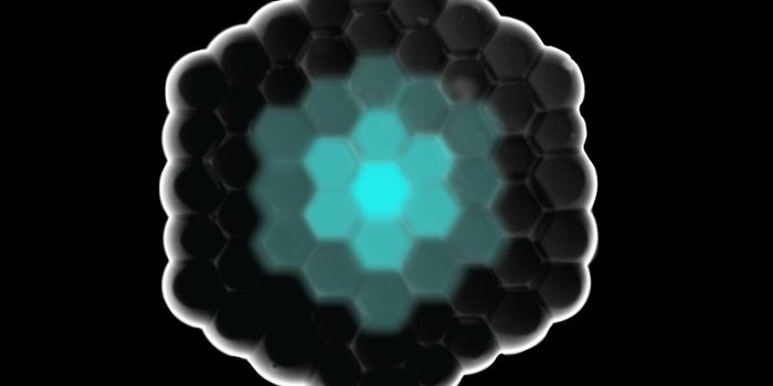 Researchers Engineer Artificial Cell Constructs That Send Signals