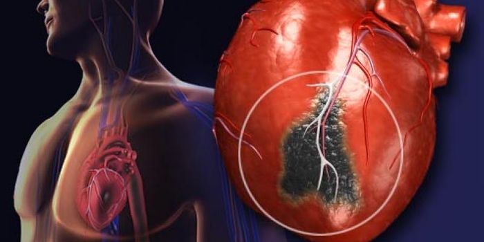 New Experimental Drug To Mend Heart Failure