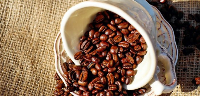 A Daily Coffee Habit May Be Extending Your Life