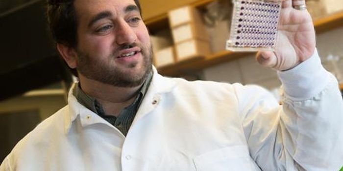 Dendritic Cells Have Secret Stash of Energy