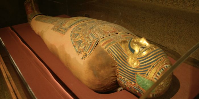 Genetic Evidence Shows Smallpox Has Been a Scourge Since Ancient Times