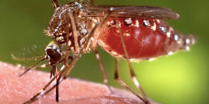 In a First, Keystone Virus Sickens a Person