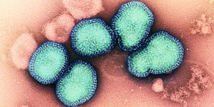 Experts are Warning About a Severe Flu Season