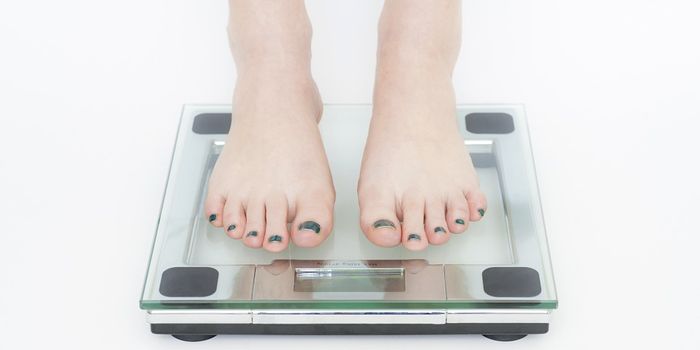 Understanding why Antipsychotic Drugs Cause Weight Gain