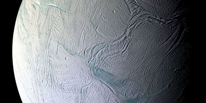 Raman Spectroscopy Could Reveal if Enceladus is Habitable