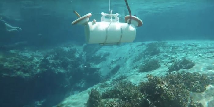 A 2020 Census for Microbes in Florida Springs