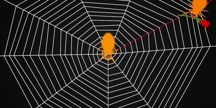 So that's how they do it! Spiders Tune In To Web's Music for Meals and Mates