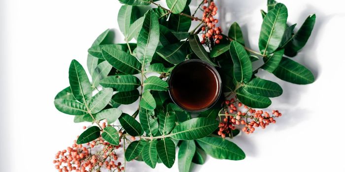 WHO Endorses Clinical Trials for Herbal Medicines to Treat COVID-19